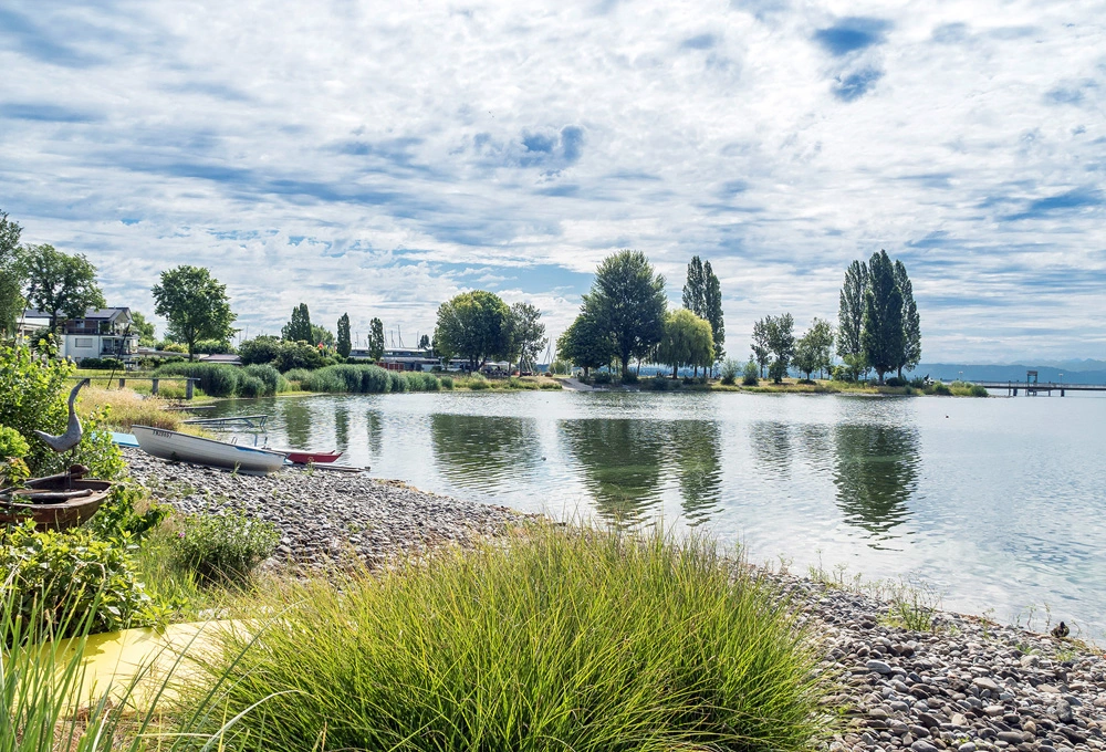 Naturnaher Garten mit Ziergräsern und Blick auf den See
